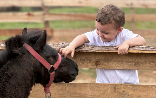 Criança em passeio com cavalos
