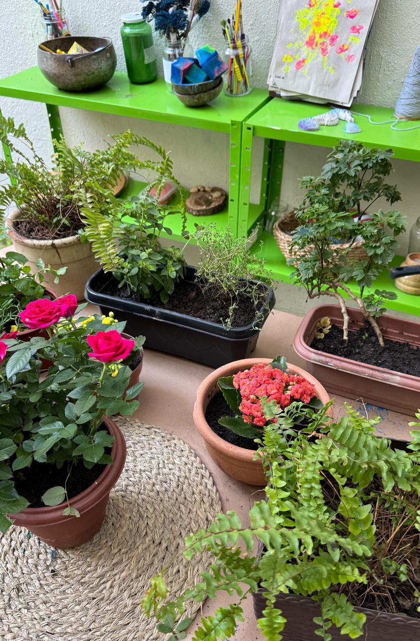 Horta e natureza na escola